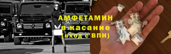 ПСИЛОЦИБИНОВЫЕ ГРИБЫ Козловка
