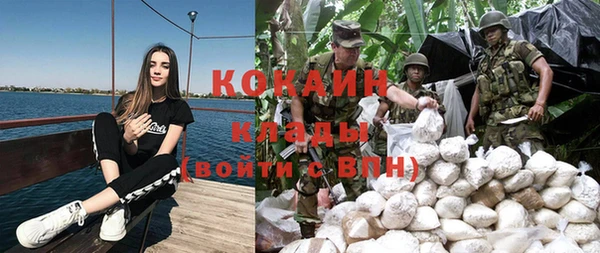 ПСИЛОЦИБИНОВЫЕ ГРИБЫ Козловка
