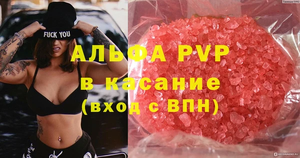 ПСИЛОЦИБИНОВЫЕ ГРИБЫ Козловка