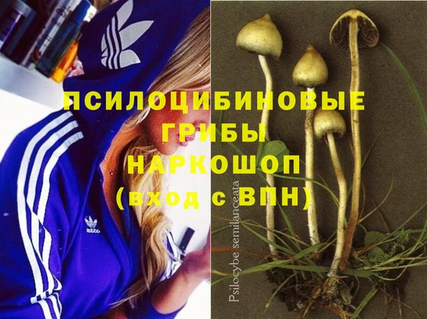 первитин Козельск