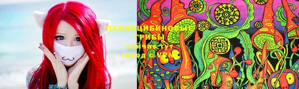 ПСИЛОЦИБИНОВЫЕ ГРИБЫ Козловка