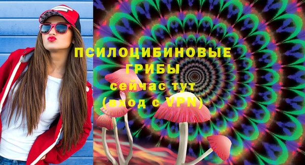 ПСИЛОЦИБИНОВЫЕ ГРИБЫ Козловка
