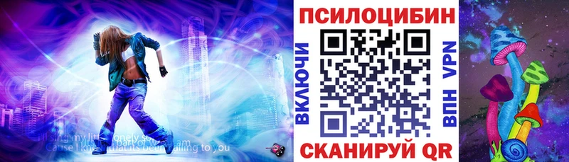 Галлюциногенные грибы GOLDEN TEACHER  Купить  Аргун 